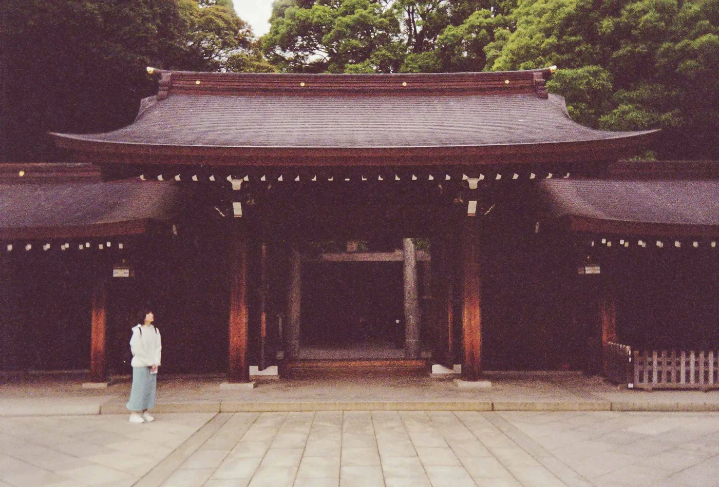 Japan on Film 2025 — photo 3